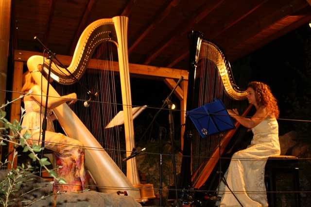 Attesissime le arpe del duo Telyn